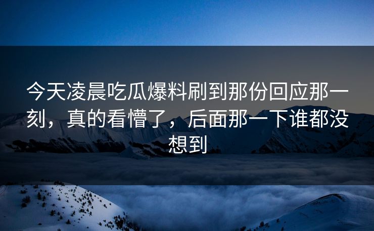 今天凌晨吃瓜爆料刷到那份回应那一刻，真的看懵了，后面那一下谁都没想到